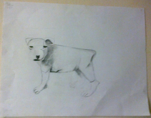 2015-06-08 19.52.17-7